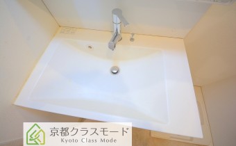 シャンプードレッサー