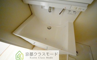 シャンプードレッサー