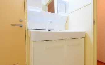 シャンプードレッサー