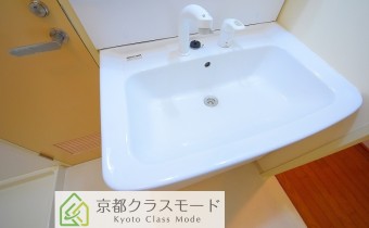 シャンプードレッサー