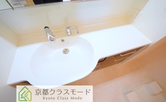 シャンプードレッサー