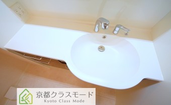 シャンプードレッサー
