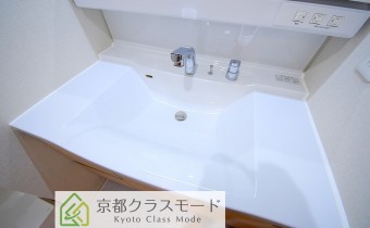 シャンプードレッサー