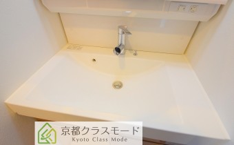 シャンプードレッサー