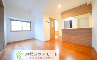 LDK10.1