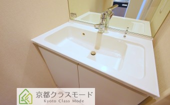 シャンプードレッサー