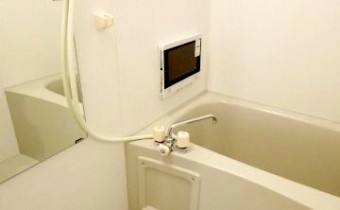 ※同シリーズ参考写真