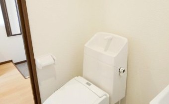 ※同シリーズ参考写真