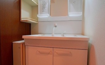 シャンプードレッサー