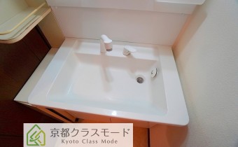 シャンプードレッサー