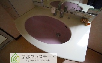 シャンプードレッサー