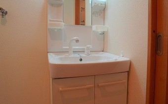 シャンプードレッサー