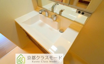 シャンプードレッサー