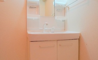 シャンプードレッサー