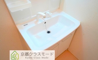 シャンプードレッサー