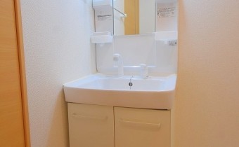 シャンプードレッサー