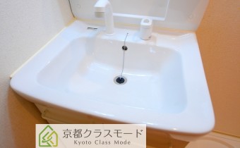 シャンプードレッサー