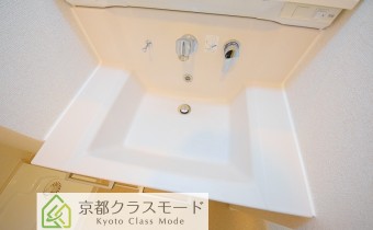シャンプードレッサー