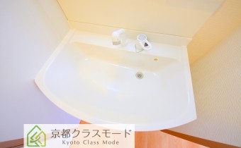 シャンプードレッサー