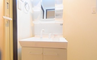 シャンプードレッサー