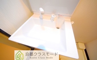 シャンプードレッサー
