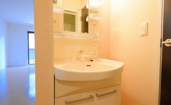シャンプードレッサー