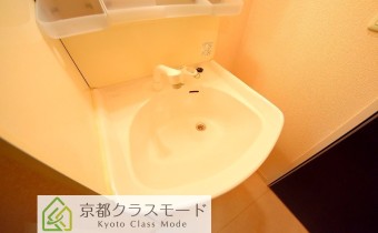シャンプードレッサー
