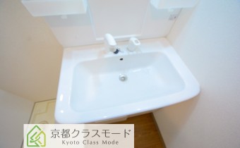 シャンプードレッサー