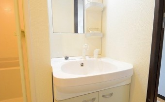 シャンプードレッサー