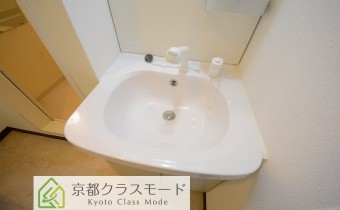 シャンプードレッサー