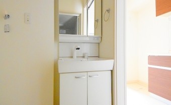 シャンプードレッサー