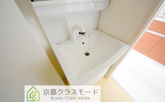 シャンプードレッサー