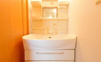 シャンプードレッサー