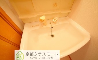 シャンプードレッサー