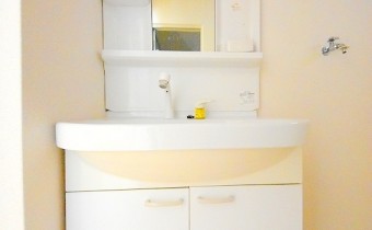 シャンプードレッサー
