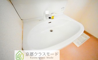 シャンプードレッサー