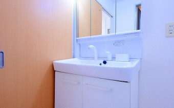 シャンプードレッサー