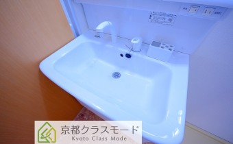 シャンプードレッサー