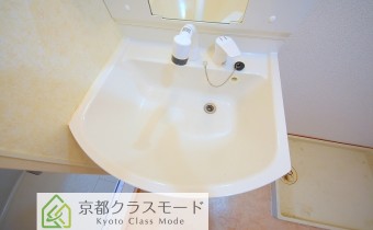 シャンプードレッサー