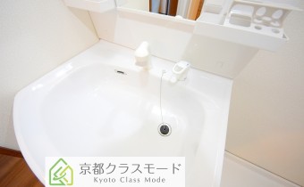 シャンプードレッサー
