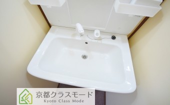 シャンプードレッサー