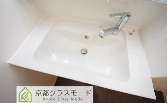 シャンプードレッサー