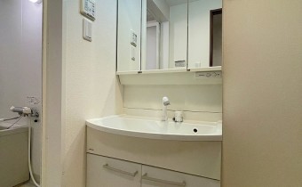 シャンプードレッサー
