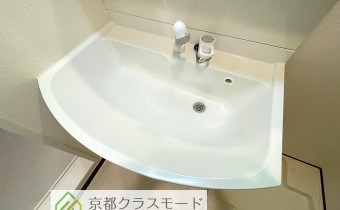 シャンプードレッサー