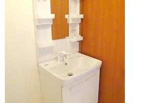 シャンプードレッサー