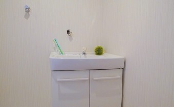 シャンプードレッサーに入替ます