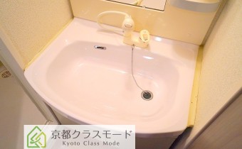 シャンプードレッサー