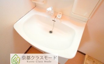 シャンプードレッサー