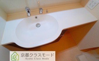 シャンプードレッサー
