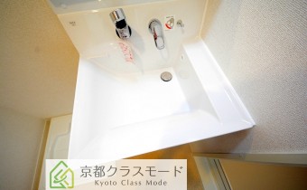 シャンプードレッサー